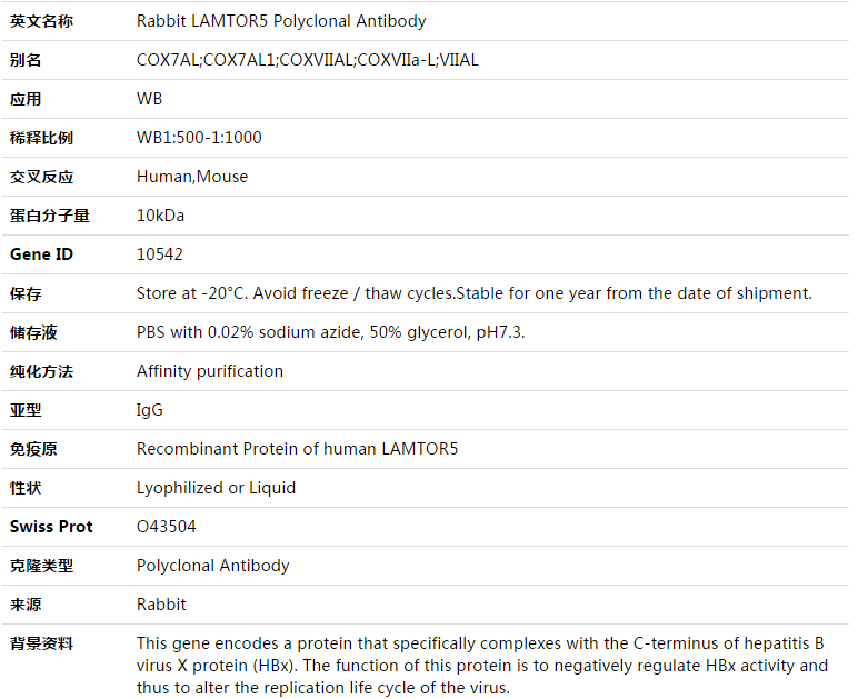 LAMTOR5 Antibody,索莱宝,K003450P-100ul