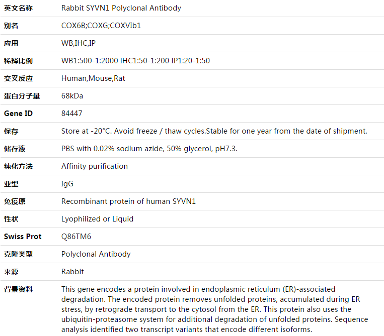 SYVN1 Antibody,索莱宝,K003449P-100ul