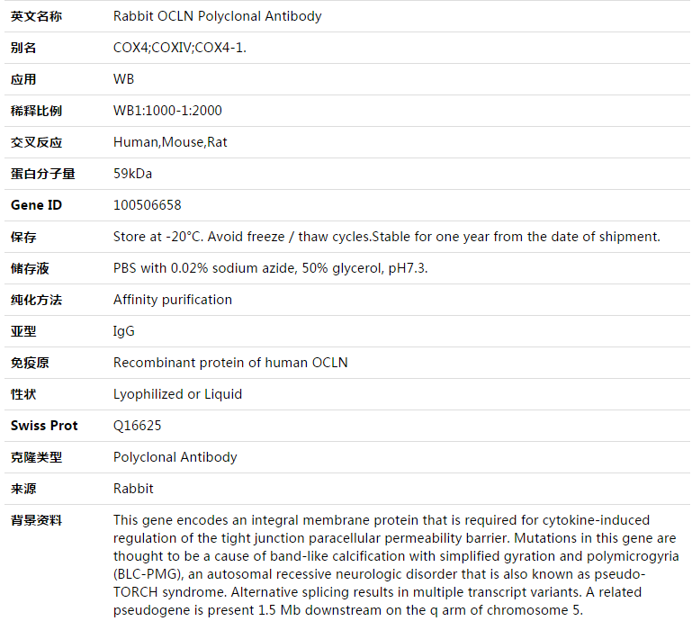 OCLN Antibody,索莱宝,K003448P-100ul