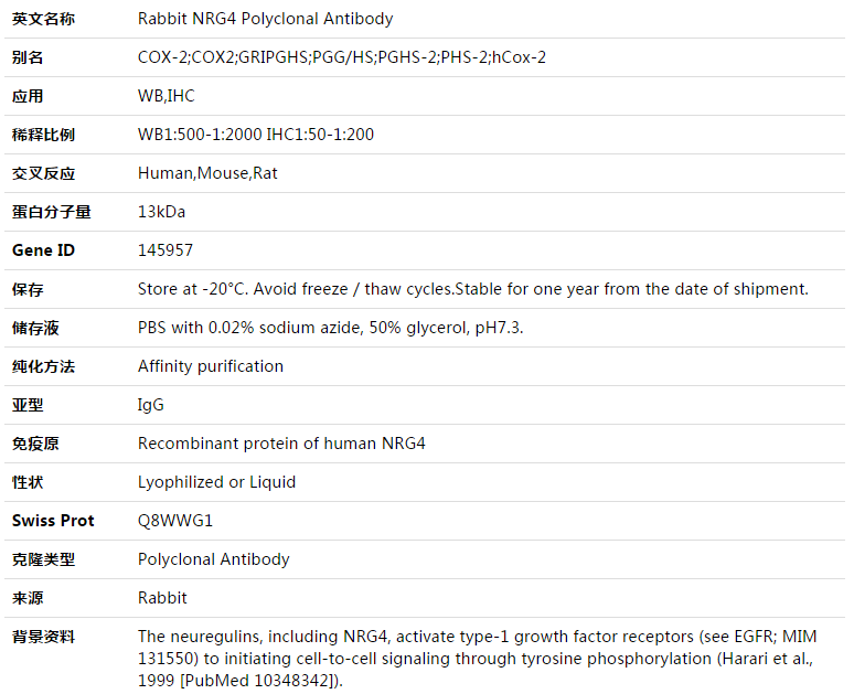 NRG4 Antibody,索莱宝,K003447P-30ul