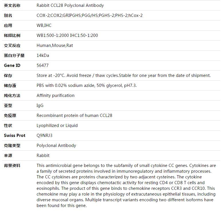 CCL28 Antibody,索莱宝,K003446P-50ul