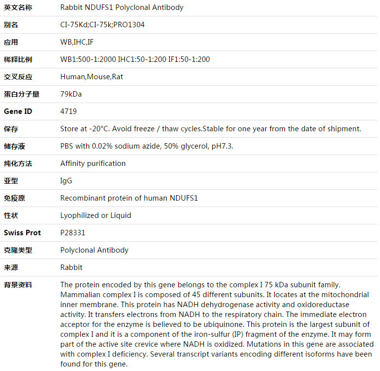 NDUFS1 Antibody,索莱宝,K003443P-100ul