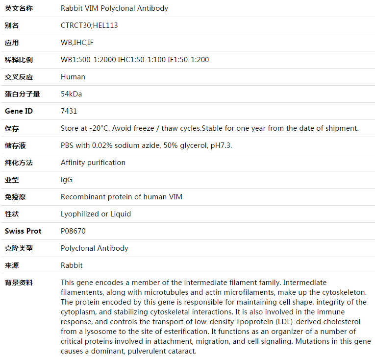 VIM Antibody,索莱宝,K003438P-50ul