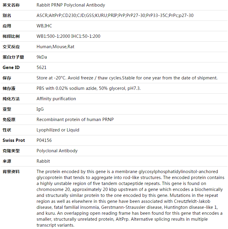 PRNP Antibody,索莱宝,K003437P-100ul