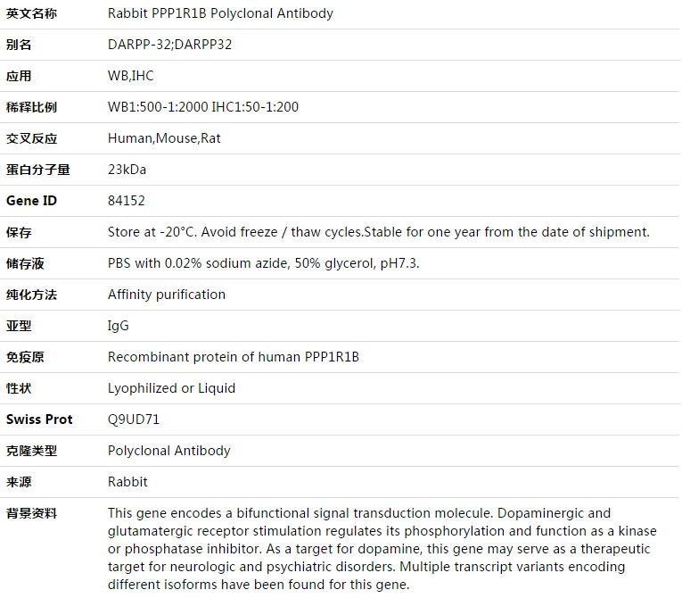 PPP1R1B Antibody,索莱宝,K003434P-100ul
