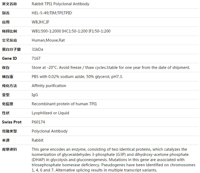 TPI1 Antibody,索莱宝,K003433P-50ul
