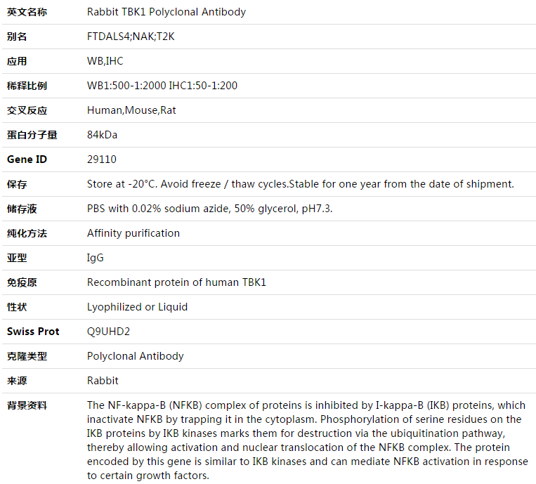 TBK1 Antibody,索莱宝,K003428P-50ul