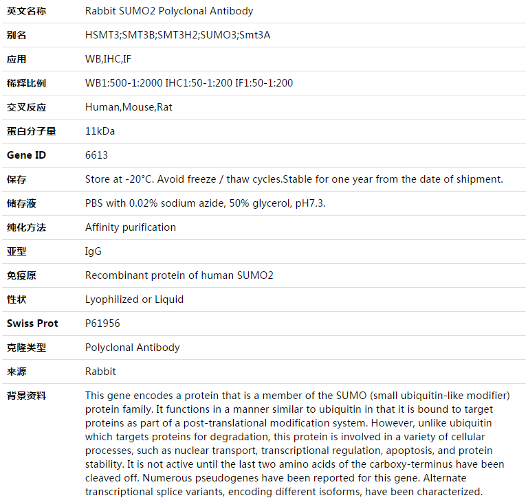 SUMO2 Antibody,索莱宝,K003427P-100ul