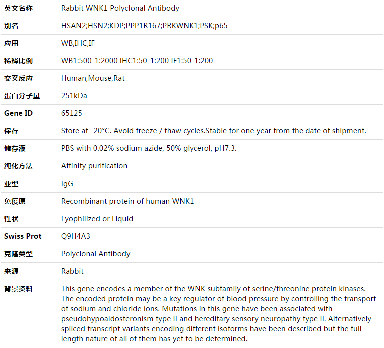WNK1 Antibody,索莱宝,K003426P-100ul