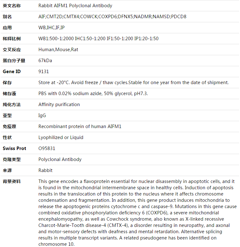 AIFM1 Antibody,索莱宝,K003425P-50ul