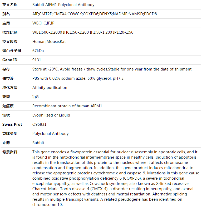 AIFM1 Antibody,索莱宝,K003425P-100ul