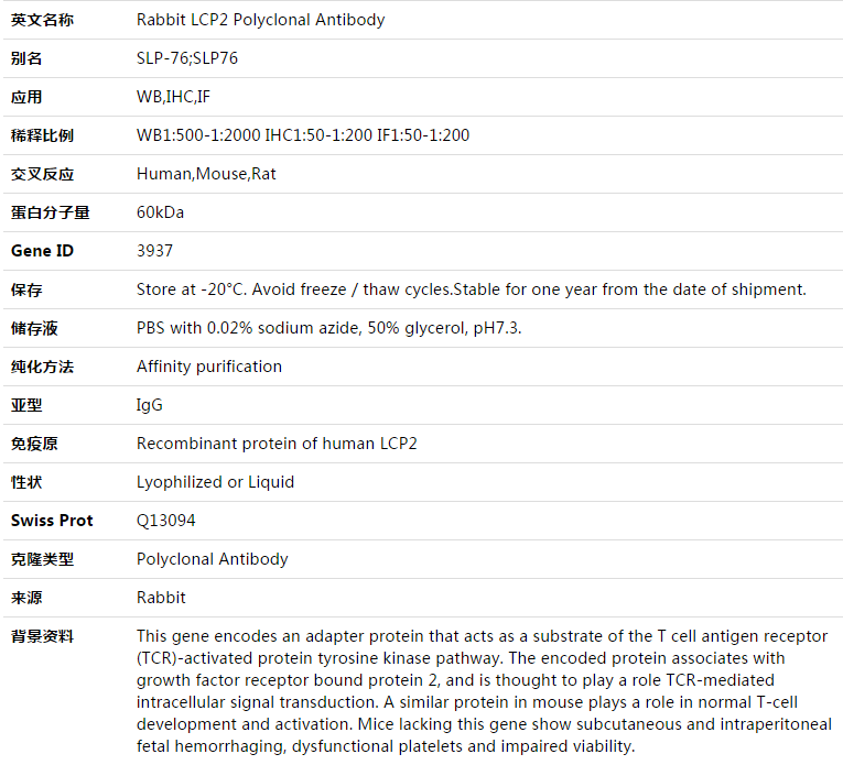 LCP2 Antibody,索莱宝,K003424P-50ul