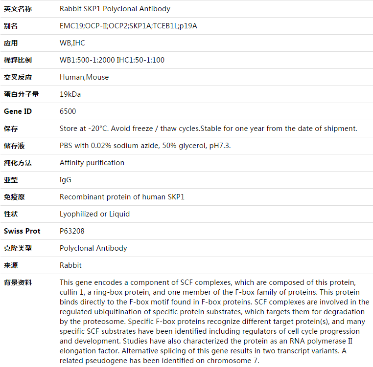 SKP1 Antibody,索莱宝,K003423P-50ul