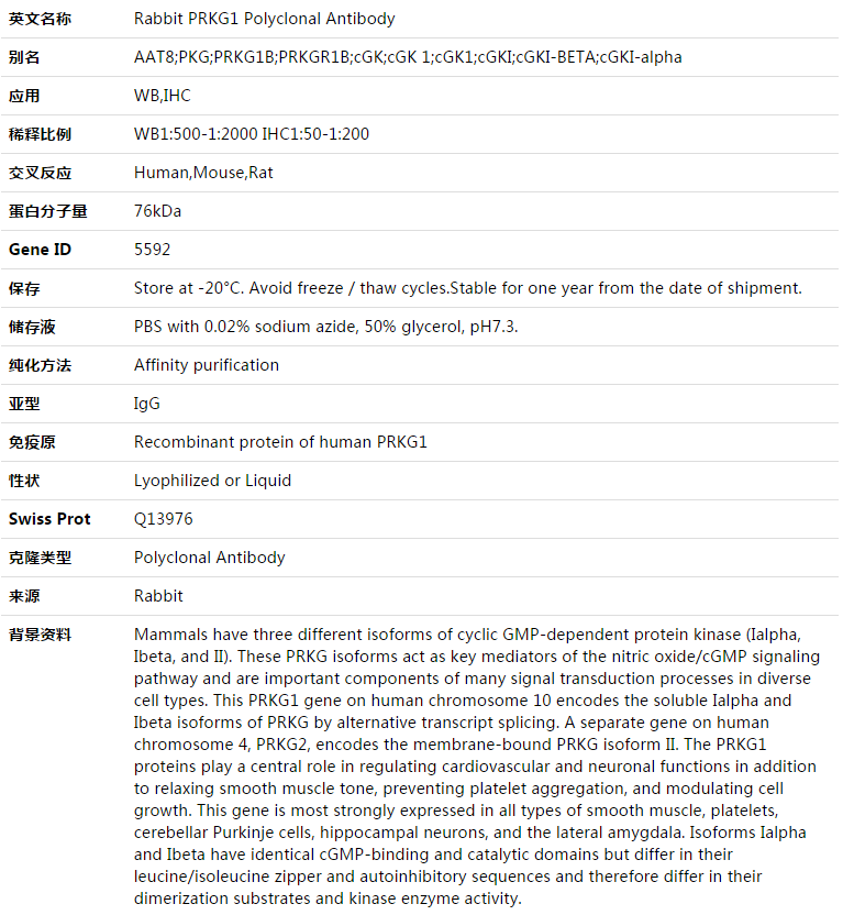 PRKG1 Antibody,索莱宝,K003422P-50ul