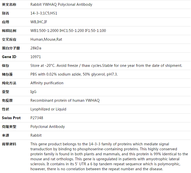 YWHAQ Antibody,索莱宝,K003421P-100ul