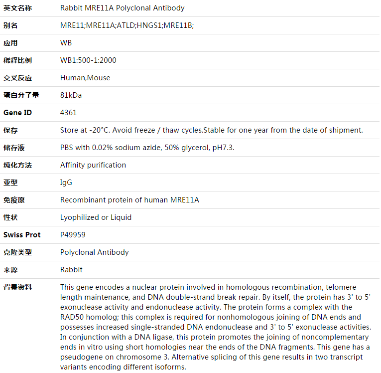 MRE11A Antibody,索莱宝,K003418P-50ul