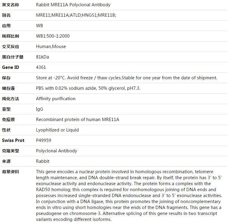 MRE11A Antibody,索莱宝,K003418P-100ul