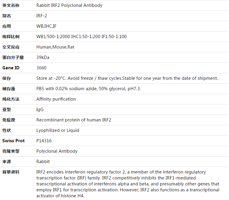 IRF2 Antibody,索莱宝,K003417P-50ul