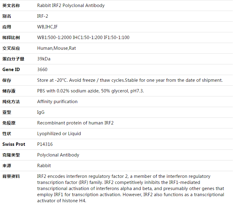 IRF2 Antibody,索莱宝,K003417P-100ul