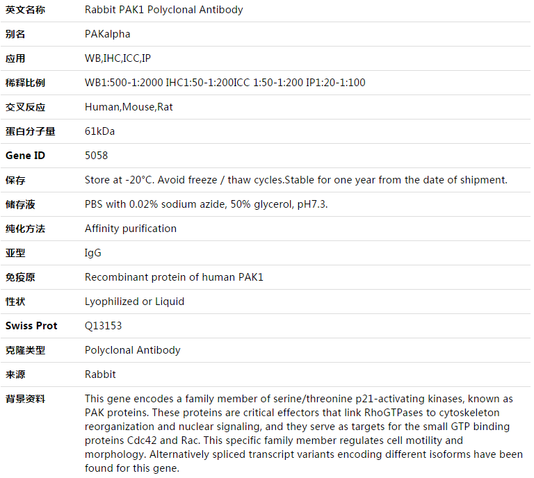 PAK1 Antibody,索莱宝,K003413P-50ul