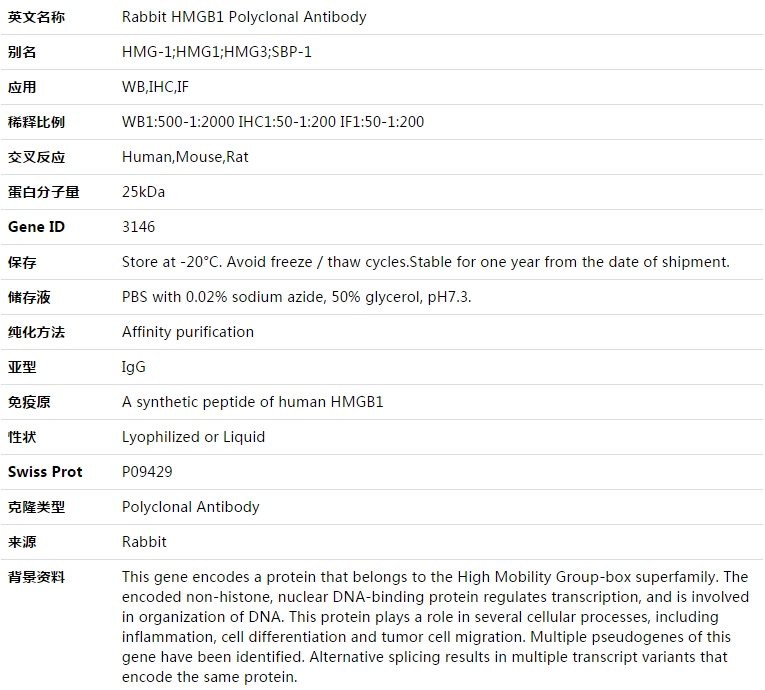 HMGB1 Antibody,索莱宝,K003412P-30ul