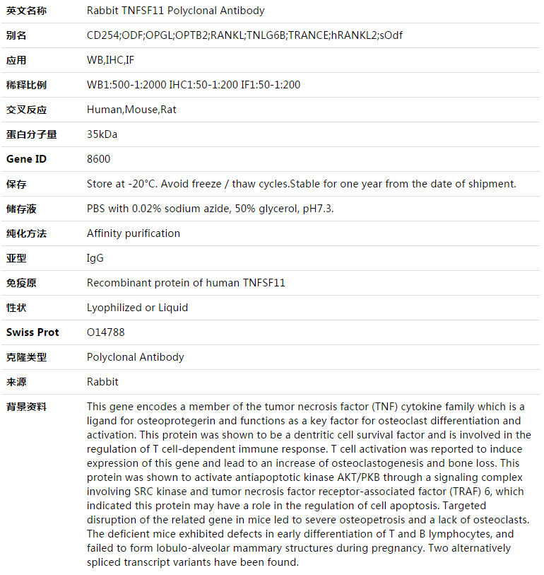 TNFSF11 Antibody,索莱宝,K003410P-100ul