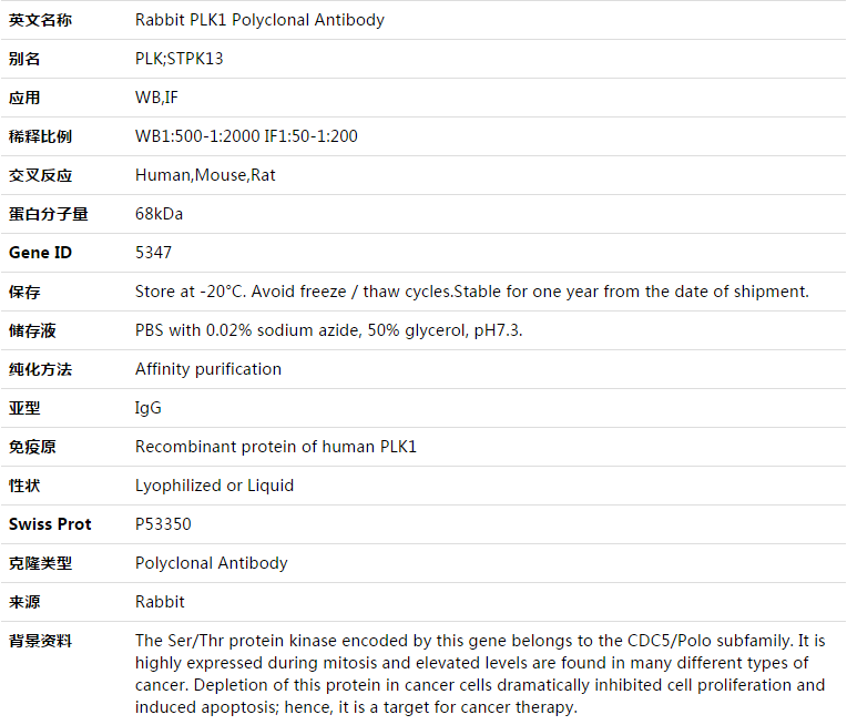 PLK1 Antibody,索莱宝,K003408P-100ul