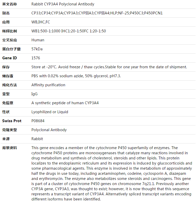 CYP3A4 Antibody,索莱宝,K003404P-30ul