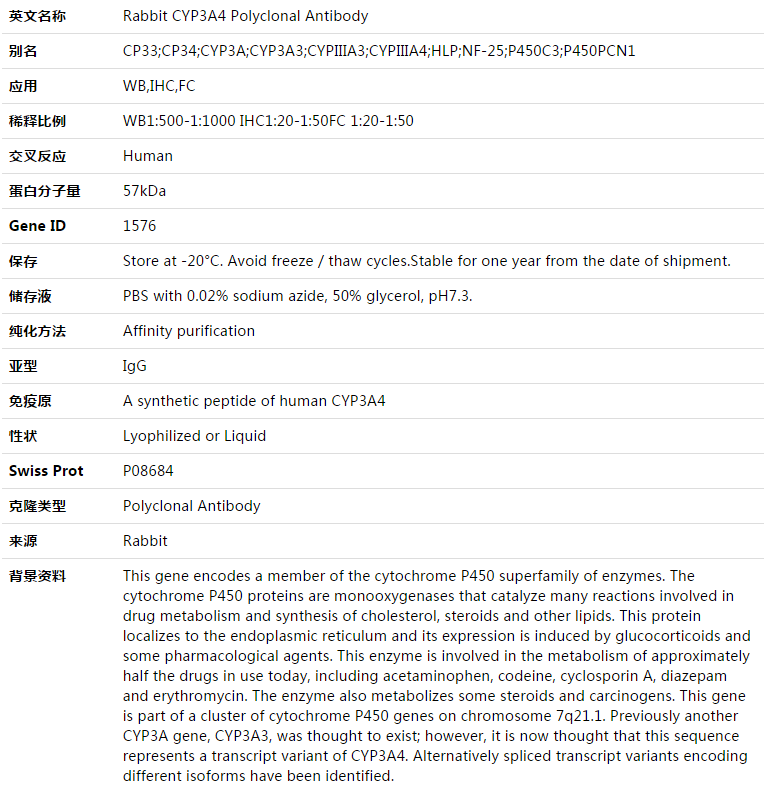 CYP3A4 Antibody,索莱宝,K003404P-100ul