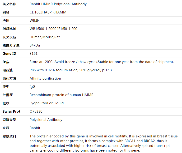 HMMR Antibody,索莱宝,K003400P-50ul