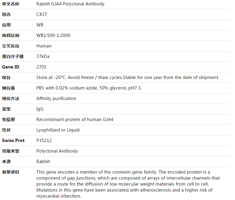 GJA4 Antibody,索莱宝,K003394P-100ul