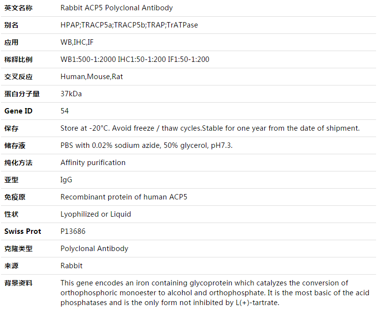 ACP5 Antibody,索莱宝,K003393P-100ul