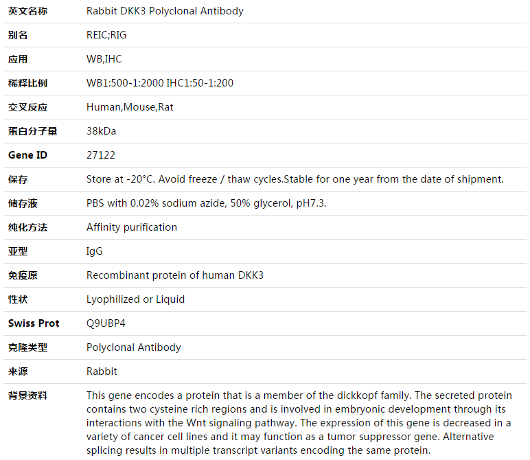 DKK3 Antibody,索莱宝,K003392P-50ul