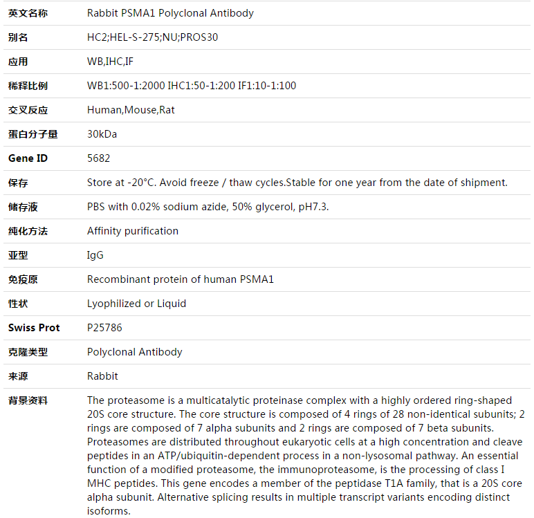 PSMA1 Antibody,索莱宝,K003389P-100ul