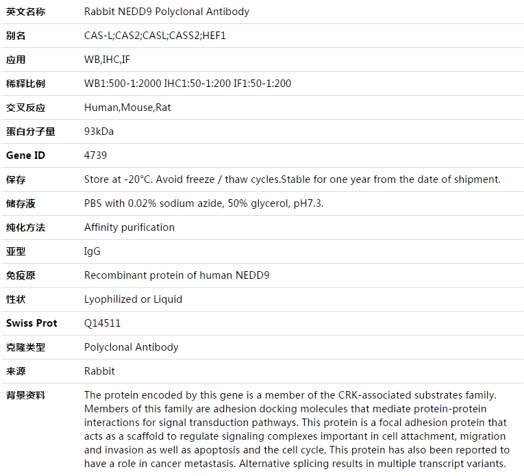 NEDD9 Antibody,索莱宝,K003387P-50ul