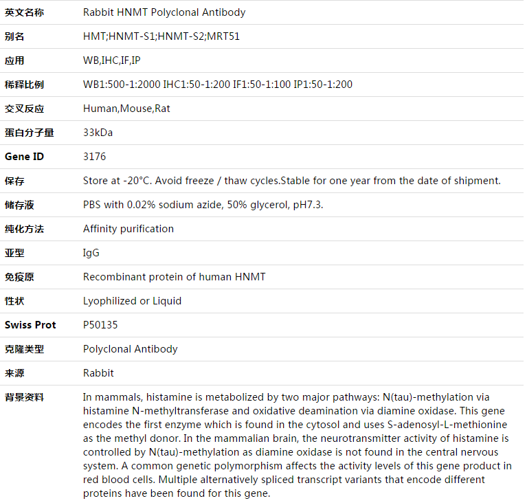 HNMT Antibody,索莱宝,K003386P-30ul