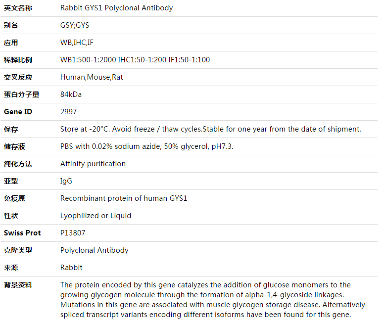 GYS1 Antibody,索莱宝,K003385P-100ul