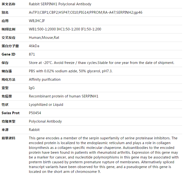 SERPINH1 Antibody,索莱宝,K003384P-50ul