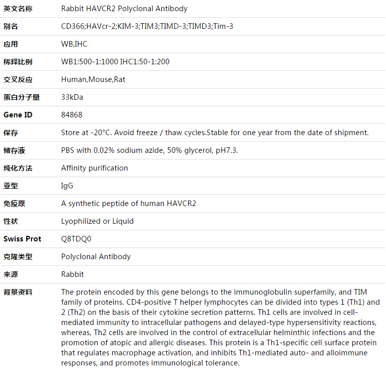 HAVCR2 Antibody,索莱宝,K003383P-30ul