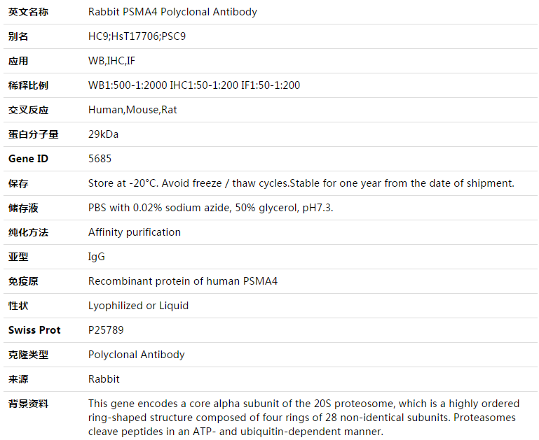 PSMA4 Antibody,索莱宝,K003378P-100ul