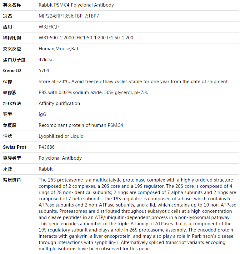 PSMC4 Antibody,索莱宝,K003374P-50ul