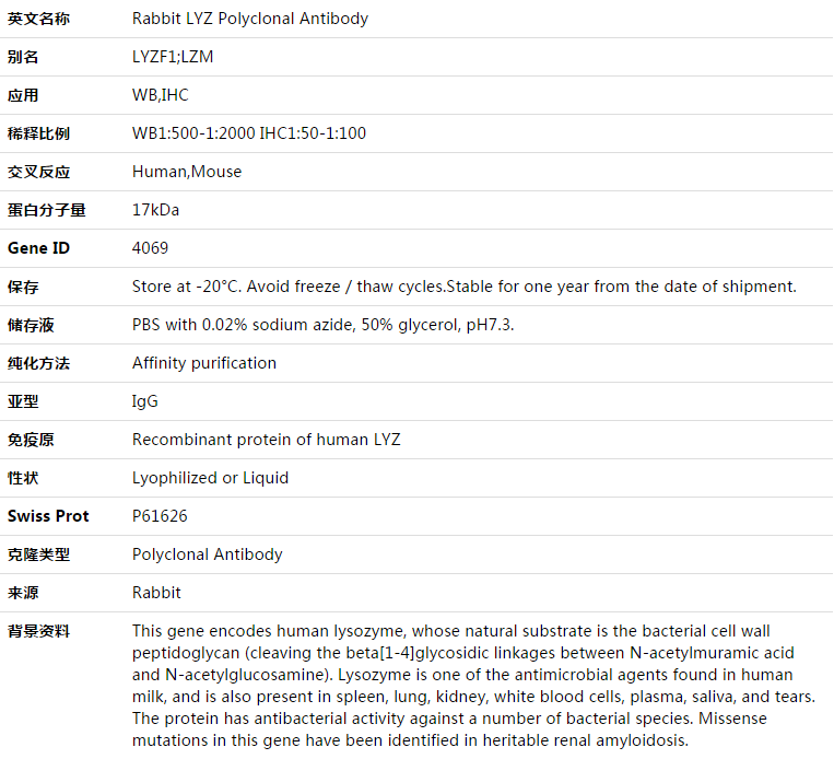 LYZ Antibody,索莱宝,K003372P-50ul