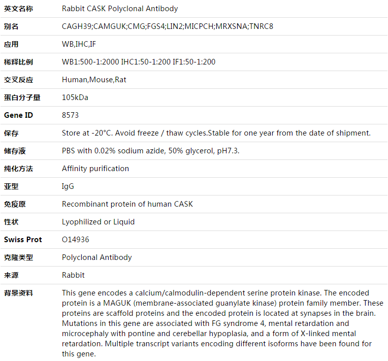 CASK Antibody,索莱宝,K003370P-50ul