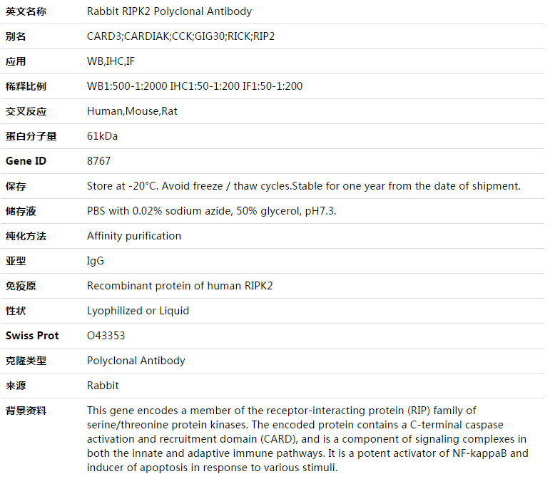 RIPK2 Antibody,索莱宝,K003367P-50ul
