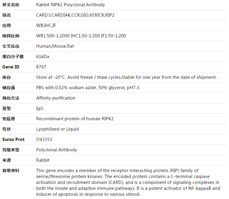 RIPK2 Antibody,索莱宝,K003367P-100ul