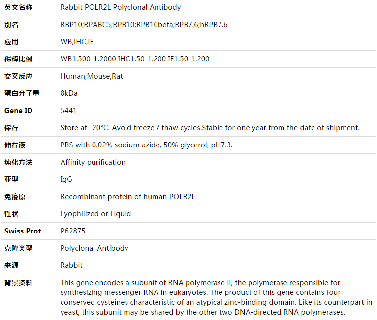 POLR2L Antibody,索莱宝,K003361P-50ul