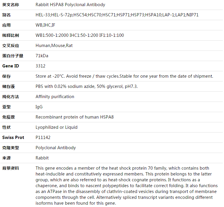 HSPA8 Antibody,索莱宝,K003358P-30ul