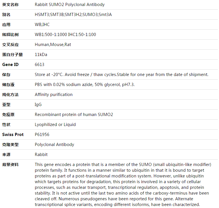 SUMO2 Antibody,索莱宝,K003357P-50ul