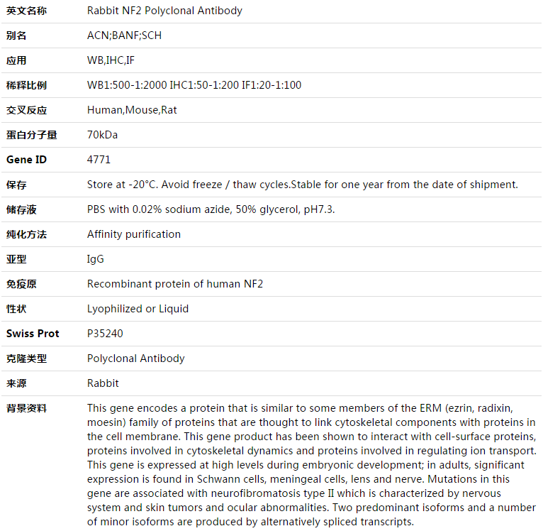 NF2 Antibody,索莱宝,K003352P-30ul