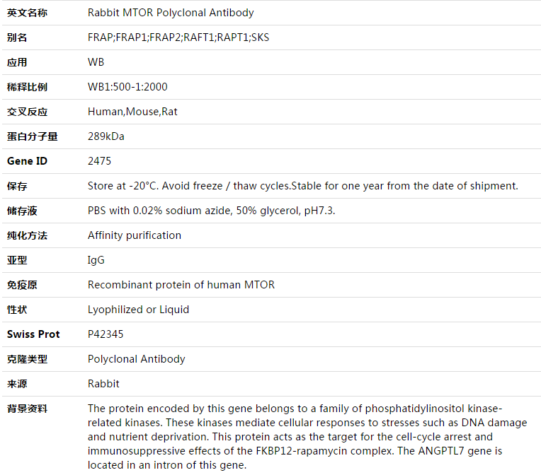 MTOR Antibody,索莱宝,K003351P-100ul